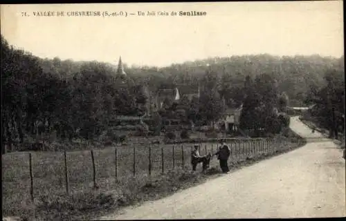 Ak Chevreuse Yvelines, Un Joli Coin de Senlisse