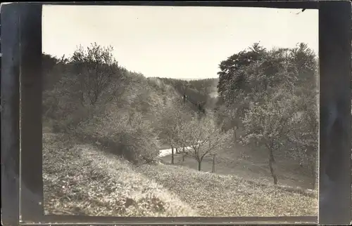 Foto Ak Bad Grund im Harz, Landschaftsblick