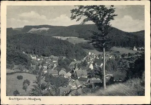 Ak Bad Grund im Harz, Teilansicht mit Umgebung