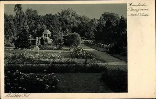 Ak Zweibrücken Rheinland Pfalz, Rosengarten, südlicher Teil