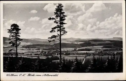 Ak Wilthen im Kreis Bautzen Sachsen, Blick vom Adlerwald