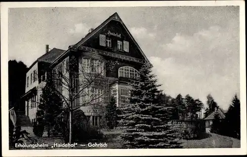 Ak Gohrisch Sächsische Schweiz, Erholungsheim Haidehof