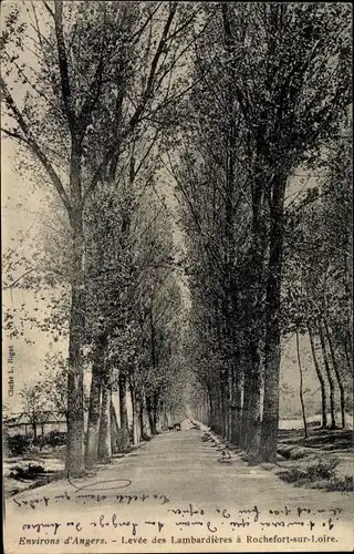 Ak Angers Maine et Loire, Levee des Lambardiers a Rochefort sur Loire