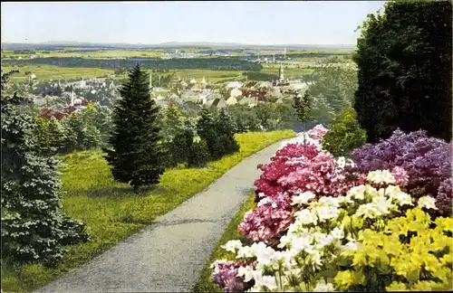 Ak Kamenz Sachsen, Panorama vom Hutberg, Azaleen Anlagen