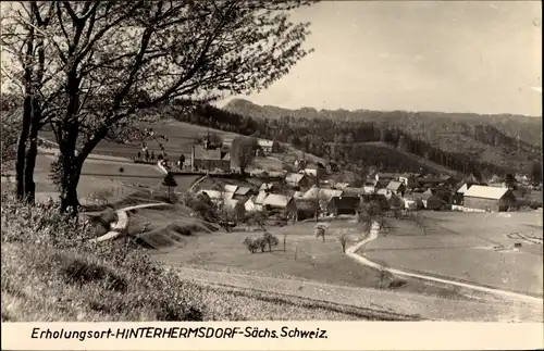 Ak Hinterhermsdorf Sebnitz Sachsen, Panorama