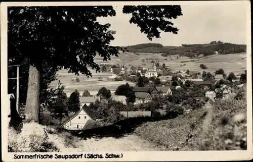 Ak Saupsdorf Sebnitz Sachsen, Panorama