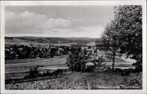 Ak Weifa Steinigtwolmsdorf Lausitz, Panorama