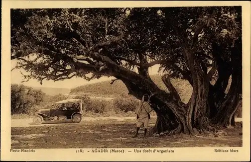 Ak Agadir Marokko, Une foret d'Arganiers