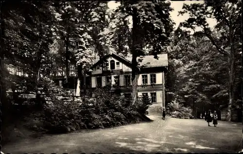 Ak Crimmitschau in Sachsen, Forsthaus, Sahnpark