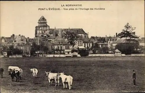 Ak Pont l Eveque Calvados, Vue prise de l'Herbage des Humieres