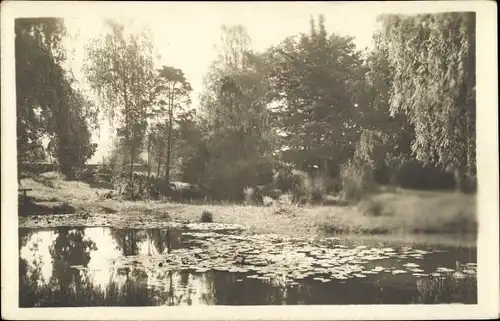 Ak Zagreb Kroatien, Une partie du jardin botanique