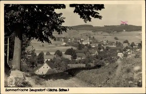 Ak Saupsdorf Sebnitz Sachsen, Panorama