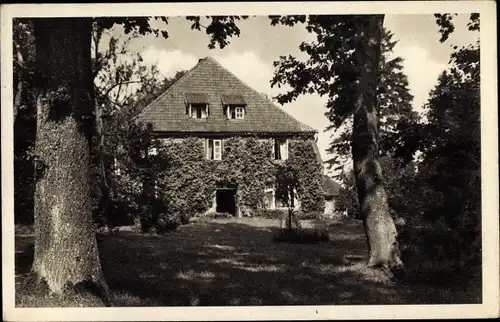 Ak Plön in Holstein, Gasthof zur Fegetasche