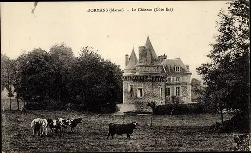 Ak Dormans Marne, Le Chateau