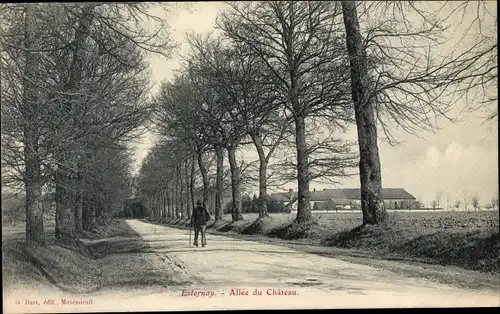 Ak Esternay Marne, Allee du Chateau