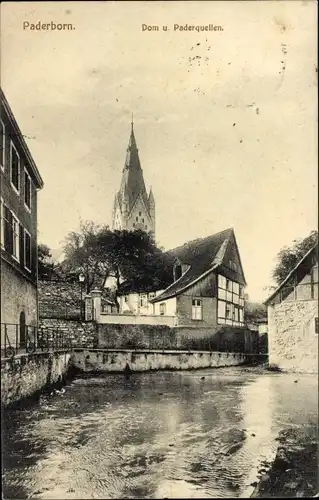 Ak Paderborn in Westfalen, Dom und Paderquellen