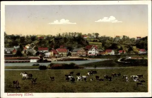Ak Lauenburg an der Elbe, Blick auf den Ort, weidende Rinder und Pferde