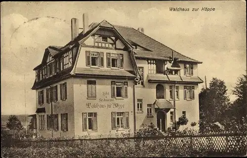 Ak Bad Klosterlausnitz, Blick auf das Waldhaus zur Köppe