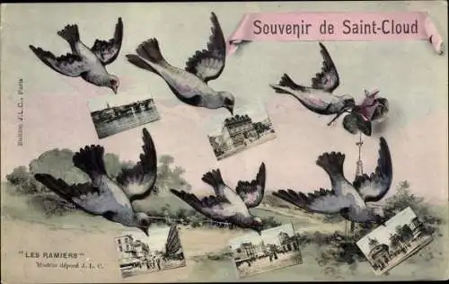 Ak Saint Cloud Hauts de Seine, Souvenir, Rose, Tauben
