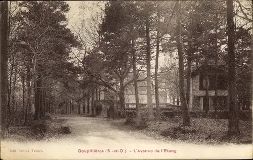 Ak Goupillières Yvelines, L'Avenue de l'Etang