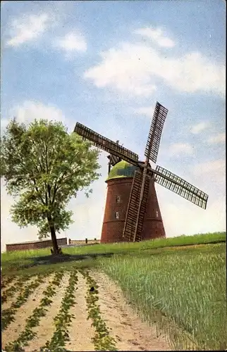 Ak Windmühle, Ackerbau