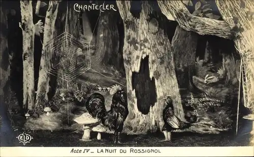 Ak Chantecler, Acte IV, La Nuit du Rossignol, Hühner im Wald