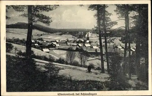 Ak Wiedersbach Auengrund in Thüringen, Panorama