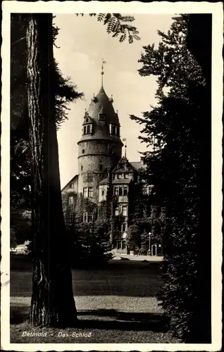 Ak Detmold in Nordrhein Westfalen, Durchblick zum Schloss