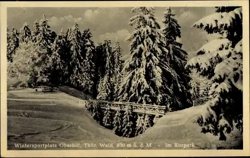 Ak Oberhof im Thüringer Wald, Im Kurpark, Winterpartie