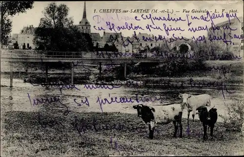 Ak Cheffes sur Sarthe Maine et Loire, Vue generale