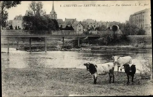 Ak Cheffes sur Sarthe Maine et Loire, Vue generale