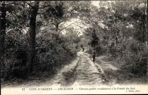 Ak Archachon Gironde, Chemin paillé conduisant à la Pointe du Sud