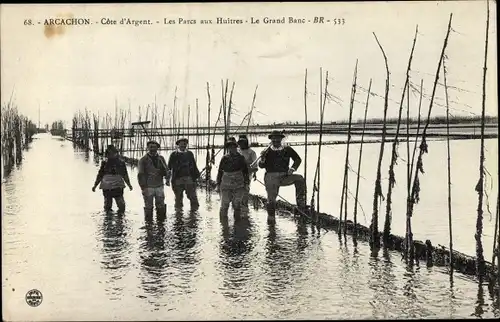 Ak Arcachon Gironde, Les Parcs aux Huitres, Le Grand Banc