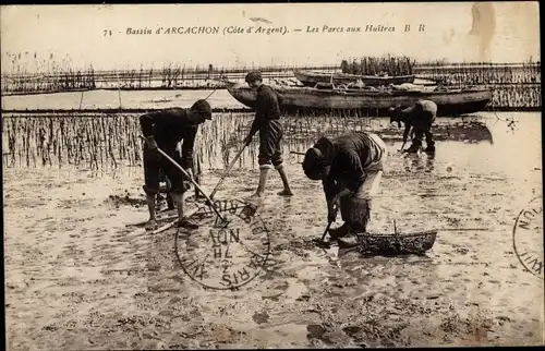 Ak Arcachon Gironde, Parcs aux Huitres