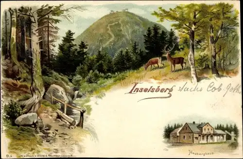 Litho Brotterode Trusetal in Thüringen, Inselsberg, Waldpartie, Hirsch, Heuberghaus