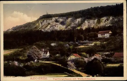 Ak Bleicherode im Kreis Nordhausen, Vogelbergklippen mit Waldschlösschen