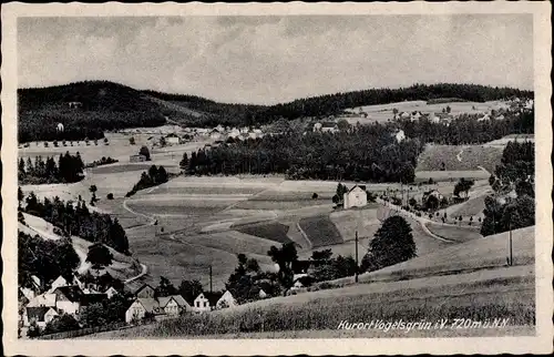Ak Vogelsgrün Auerbach im Vogtland, Gesamtansicht