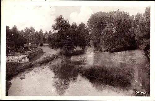 Ak Cormery Indre-et-Loire, Les Bords de l'Indre