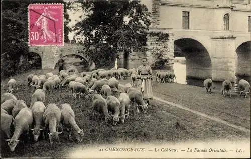 Ak Chenonceaux Indre-et-Loire, Le Château, La Façade Orientale