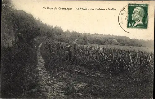 Ak Vertus Marne, Les Falaises, Sentier