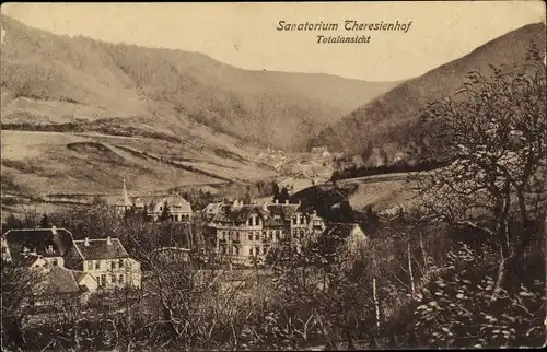 Ak Goslar in Niedersachsen, Sanatorium Theresienhof