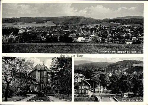 Ak Seesen in Niedersachsen, Blick vom Sonnenberg auf die Harzberge, Burg Sehusa