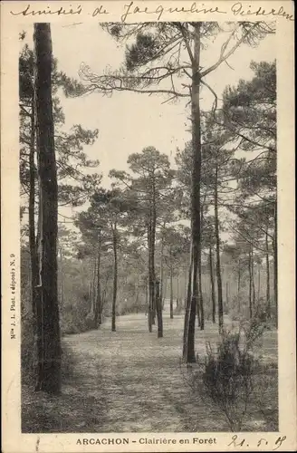 Ak Arcachon Gironde, Clairière en Forêt