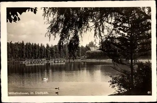 Ak Wilhelmshaven in Niedersachsen, Im Stadtpark