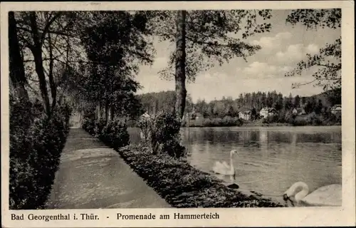 Ak Georgenthal in Thüringen, Promenade am Hammerteich, Schwäne