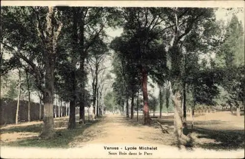 Ak Vanves Hauts de Seine, Lycee Michelet, Sous Bois dans le Parc