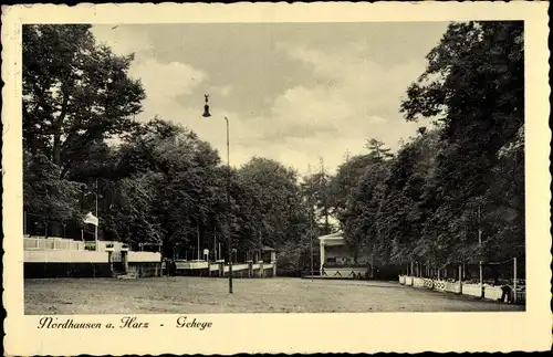 Ak Nordhausen am Harz, Gehege