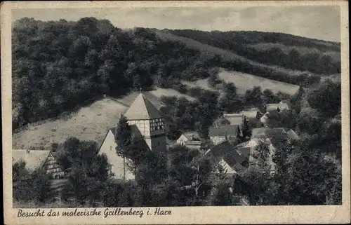 Ak Grillenberg Sangerhausen im Kreis Mansfeld Südharz, Teilansicht