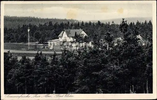 Ak Bad Elster im Vogtland, Gasthaus Zur Alm, Wald