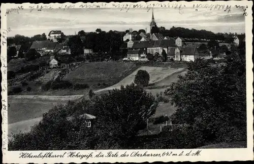 Ak Hohegeiß Braunlage im Oberharz, Teilansicht